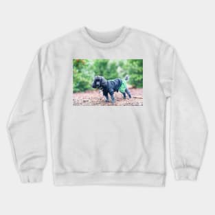 Black and grey poodles Crewneck Sweatshirt